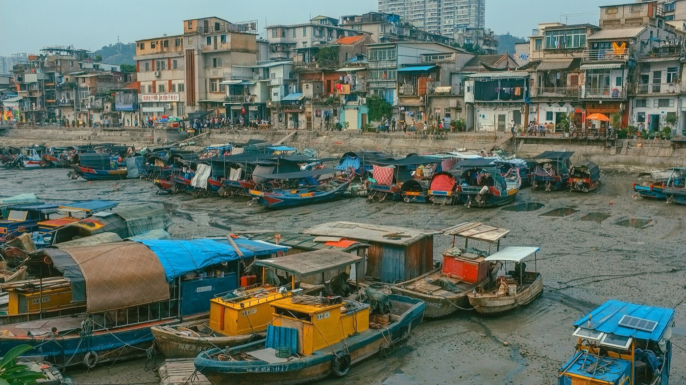 Fishing boats in the Shapowei basin, five minutes from the university’s south gate.